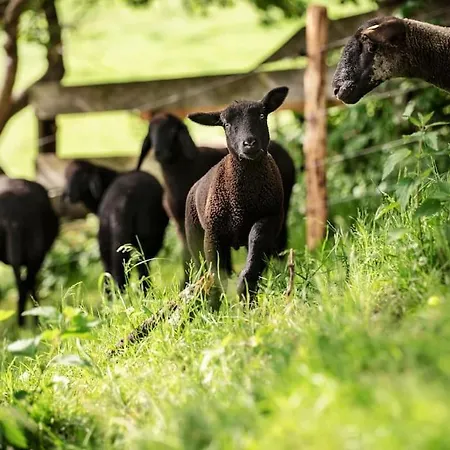 Lejlighed Am Bio-bauernhof Brandner Schoberegg